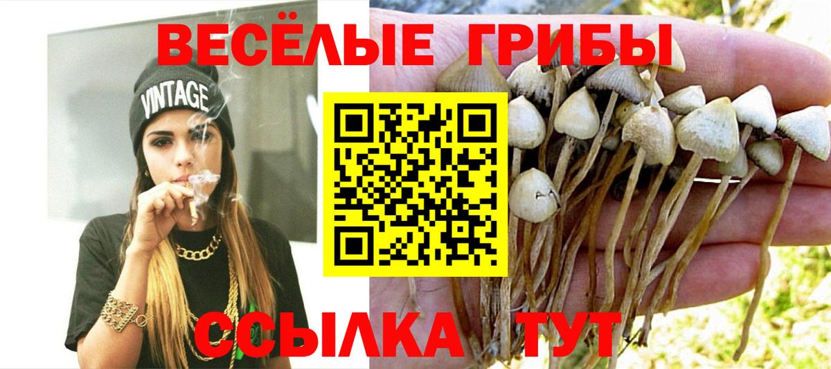 Галлюциногенные грибы мухоморы  Вход с VPN  Татарск 